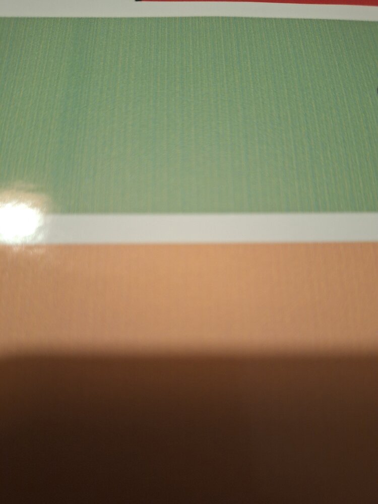 1000032456.jpg