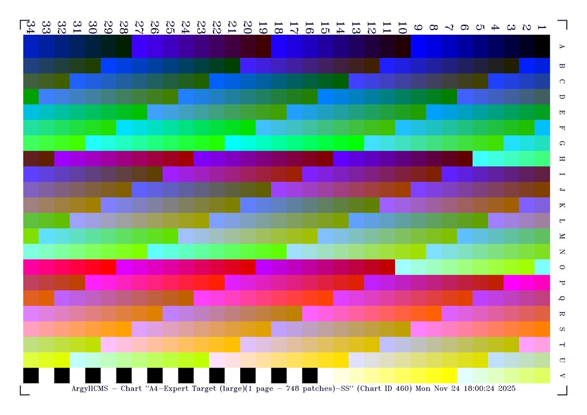 A4-Expert Target (large)(1 page - 748 patches)-SS.jpg