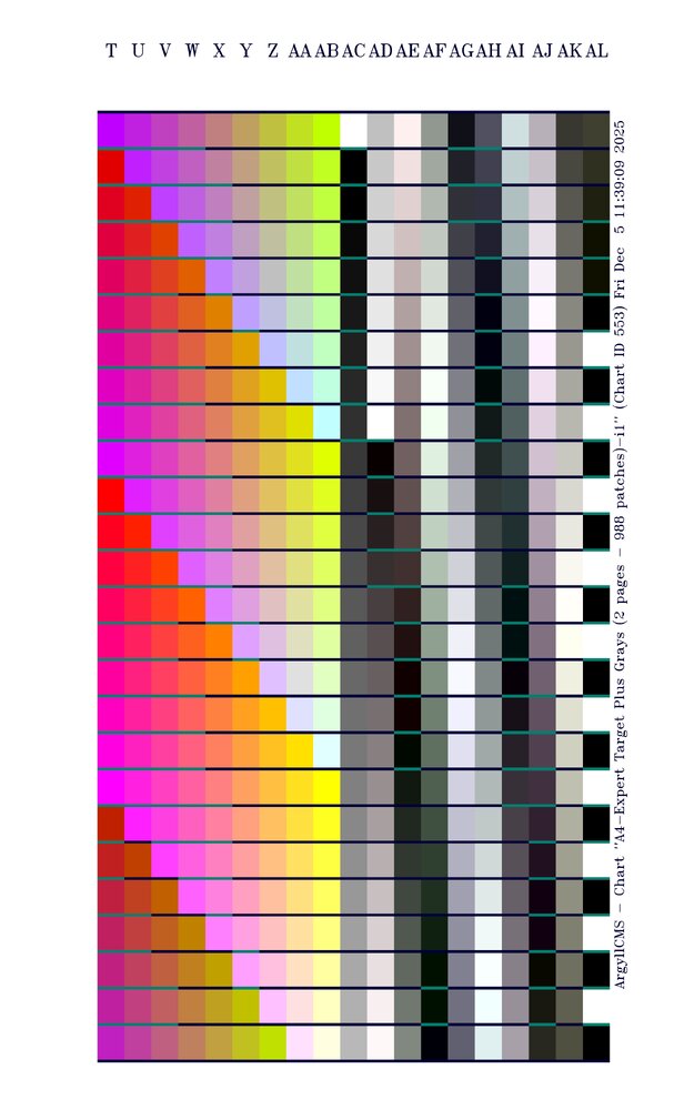 A4-Expert Target Plus Grays (2 pages - 988 patches)-i1_02.jpg