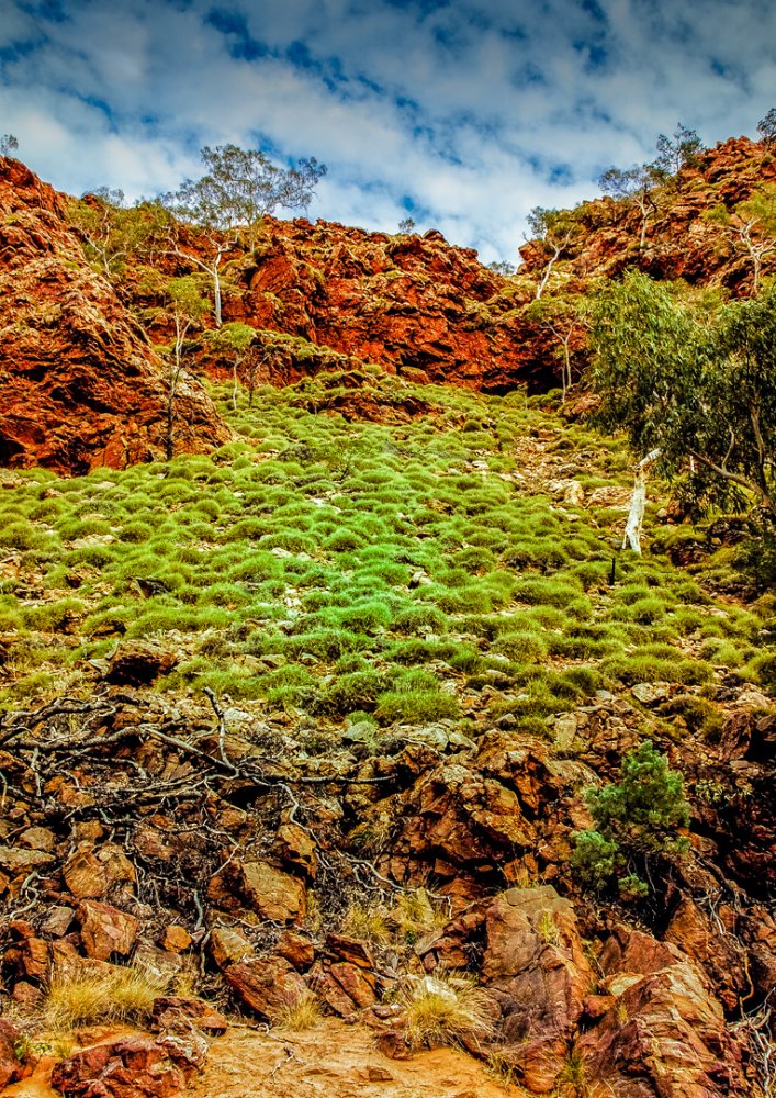 Alice Springs .jpg