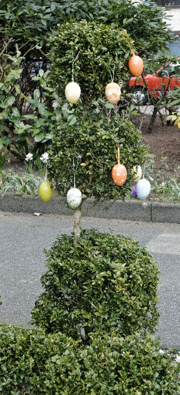 egg-tree-jpg.5237