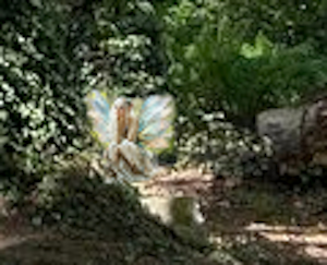 fairies.png