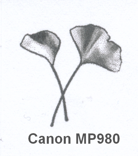 Gingko Canon MP980.jpg