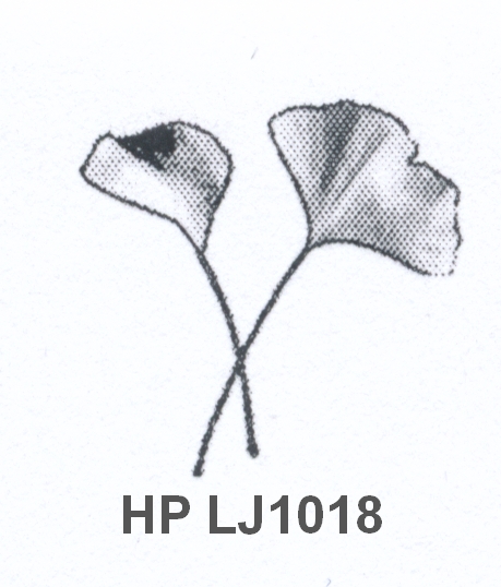 Ginko HP LJ1018.jpg
