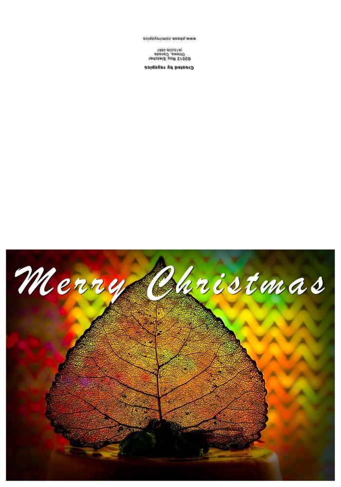 glass Christmas Cards.jpg