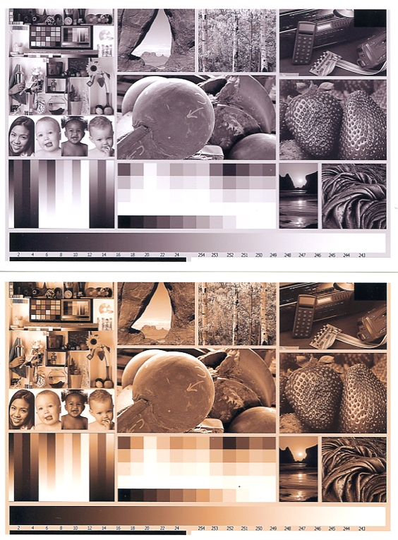 Greyscale-Sepia.jpg