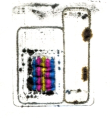 mg5250-stamp-jpg.5681