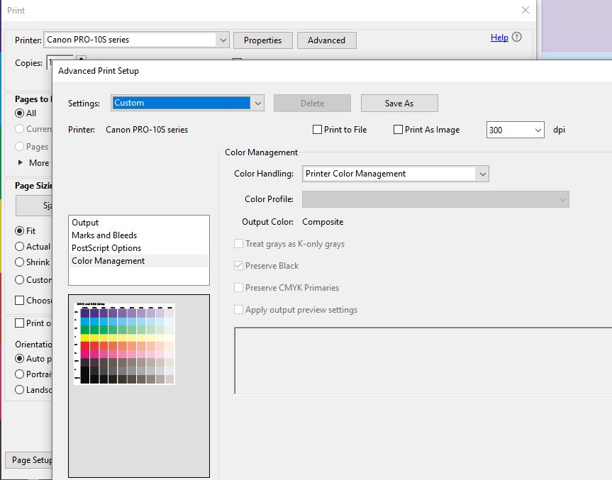 PDF print settings scn shoot.JPG