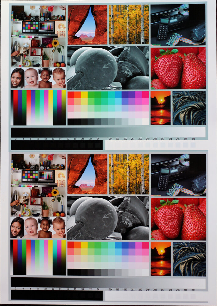 Printprism vs ArgyllCMs.jpg