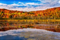 Gatineau Park.jpg