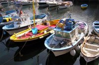 fishing-boats,-Sorento.jpg