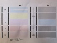 Nozzle Check After MBK Cartridge Change.jpg