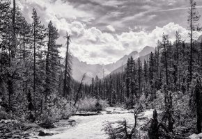 Yoho National Park.jpg