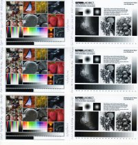 Profile comparison Claria vs Fujilabs.jpg