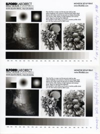 BW profile versus ABW-mode.jpg