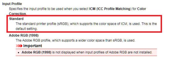 Input profile.jpg