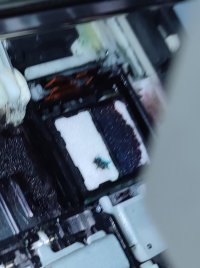 Purge Pads.jpg Purge Pads.jpg