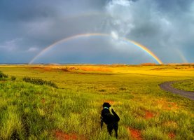 Rainbow Bridge.jpg