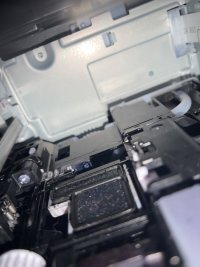 IMG_1388.jpeg IMG_1388.jpeg