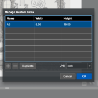 Epson Custom Size.png