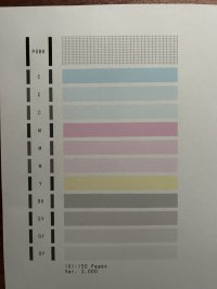 IMG_4807.JPEG