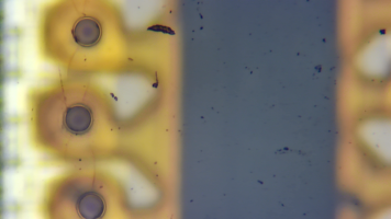 PGBK_nozzles_10x_0.png