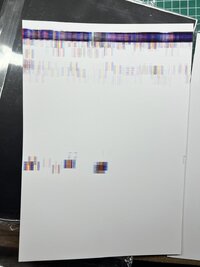 IMG_4063.jpeg IMG_4063.jpeg