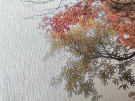 IMG_20250609_161810.jpg