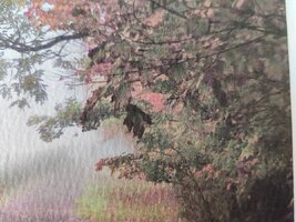 IMG_20250609_161825.jpg