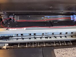IMG_0394.jpeg