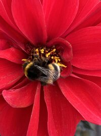 IMG_5100.JPG