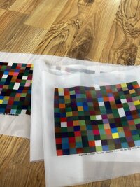 IMG_7027.jpeg