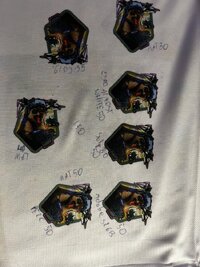 IMG_7064.jpeg