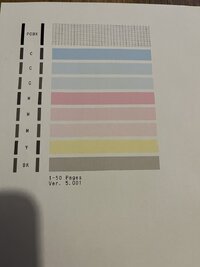 IMG_6879.jpeg