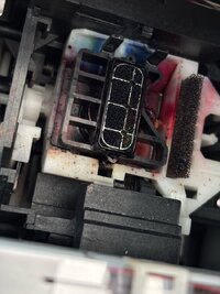 Left capping corner.jpeg