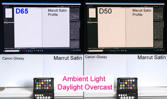 D65_D50_ Printing.jpg
