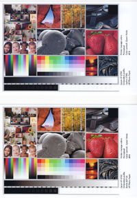 Test Print.png Test Print.png