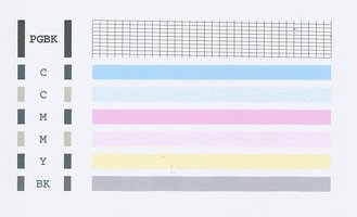 MP500 Nozzle check.jpg