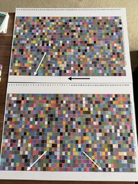 IMG_9450.jpeg