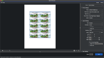 A3 rtight dimensions.png