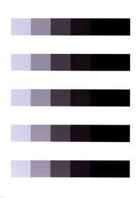 Stripes01_PhotoPaper.jpg