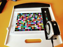 IMG_20260531_073454.jpg