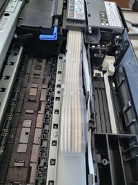 Plastic Runner.jpg