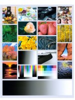 Colour.jpg Colour.jpg