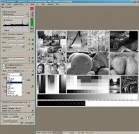 JI_B&W-rot.JPG JI_B&W-rot.JPG