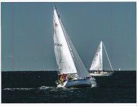 Sailboats_0002.jpg