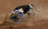 Laramie Jubilee Days Rodeo 69.jpg