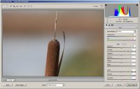 Camera Raw 9.0.jpg