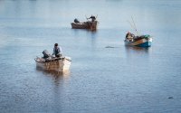 Three oystermen tending beds.jpg