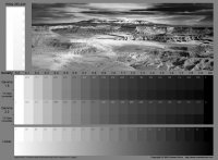 Stepchart_large_color2.jpg Stepchart_large_color2.jpg